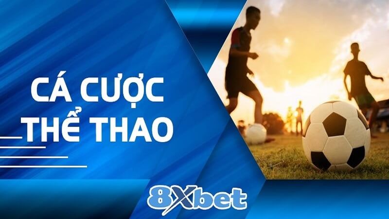 The Thao 8xbet 