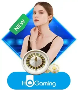 ho gaming