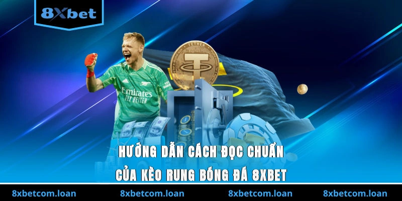 Hướng dẫn cách đọc chuẩn của kèo rung bóng đá 8XBET