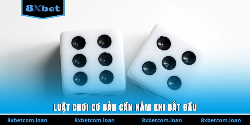 Luật chơi cơ bản cần nắm khi bắt đầu